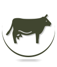 Large Animals